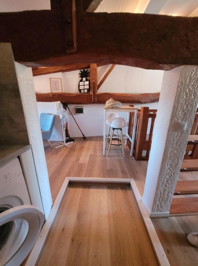 Apartament Cadre Exceptionnel Niche Sous Les Toits Dans Le Quartier Historique Albi Zewnętrze zdjęcie
